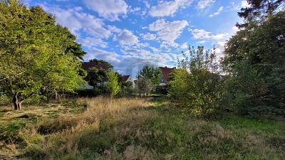 IHR TINY-HAUS BEGINNT HIER - Grundstück Bremen Blumenthal | Angebot:24670008