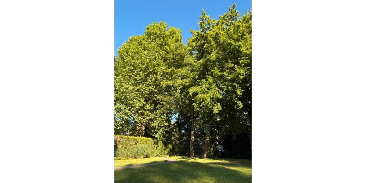Bungalow Bremen Oberneuland - 5 Zimmer, 195 m&sup2;, 965.000&euro; | Angebot:27146200