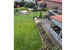 Bauernhaus, Landhaus Berne - 950.000&euro; | Angebot:27195311