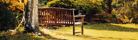 Bürgerpark Bremen mit Tiergehege