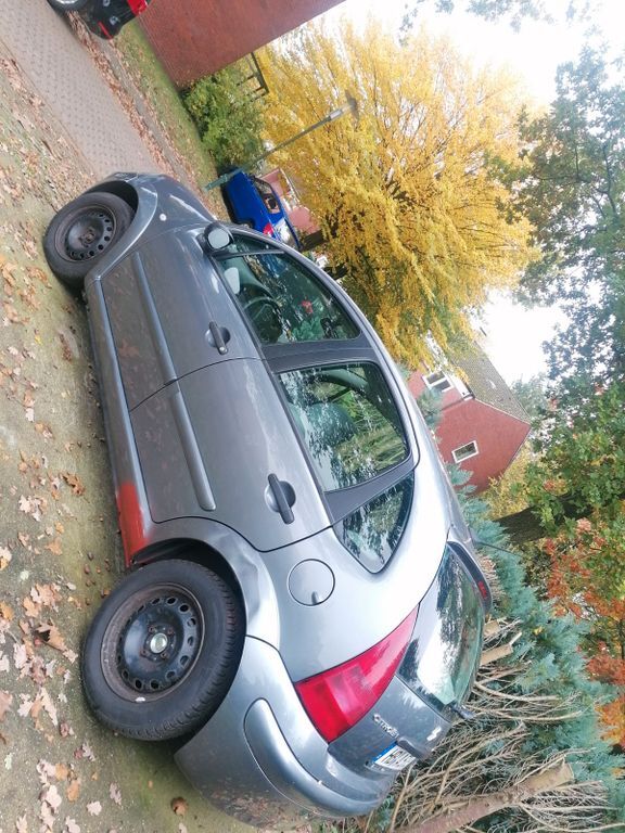C3