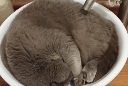 Wohnung Eversen WG mit Mithilfe 1 zimmer