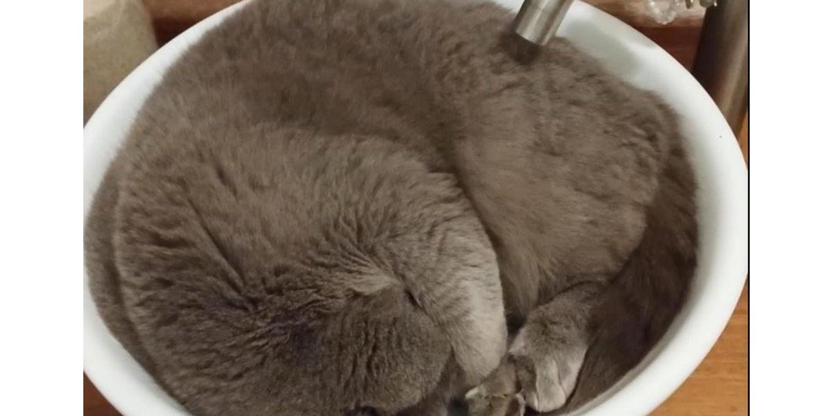 Wohnung Eversen WG mit Mithilfe 1 zimmer