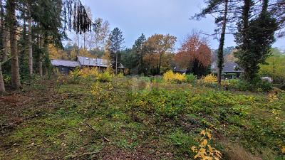 GRÜNES WOHNEN - BAUEN IN EXKLUSIVER SIEDLUNG zimmer