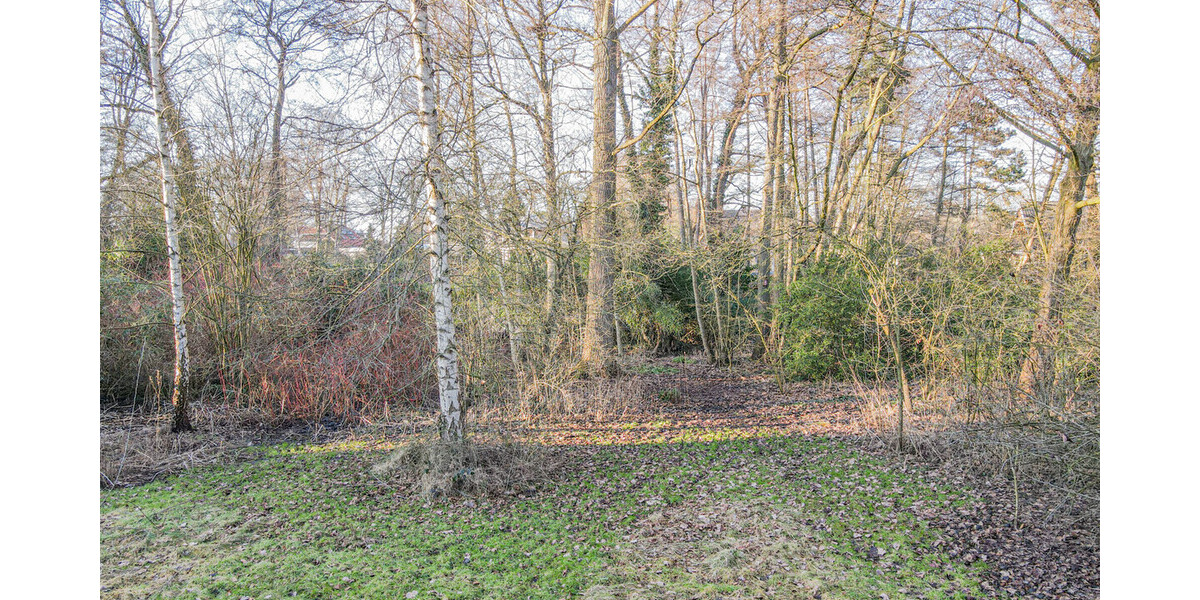 Ganderkesee Großzügiges Baugrundstück in begehrter Wohnlage - Grundstück Ganderkesee | Angebot:26262589