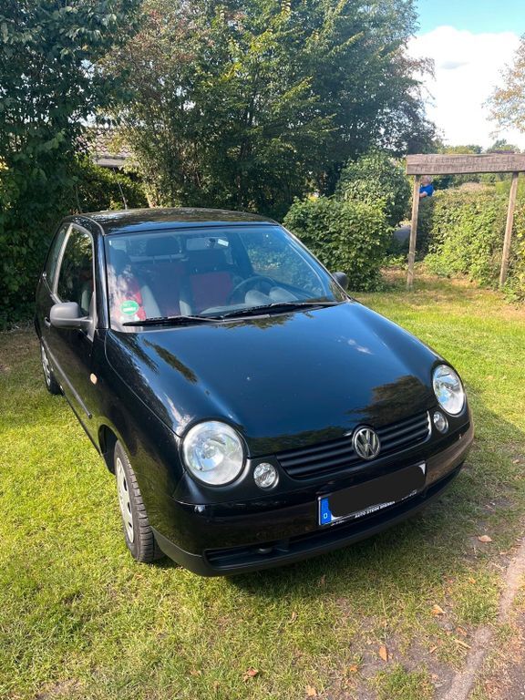 Lupo