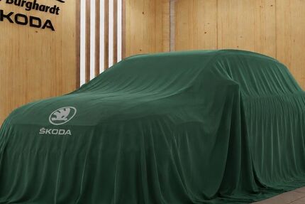 Skoda Fabia 4.800 km 28.500 &euro; Bremen 28357