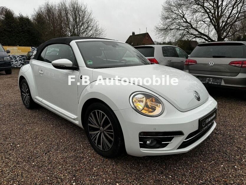 Beetle