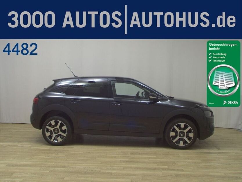 C4 Cactus