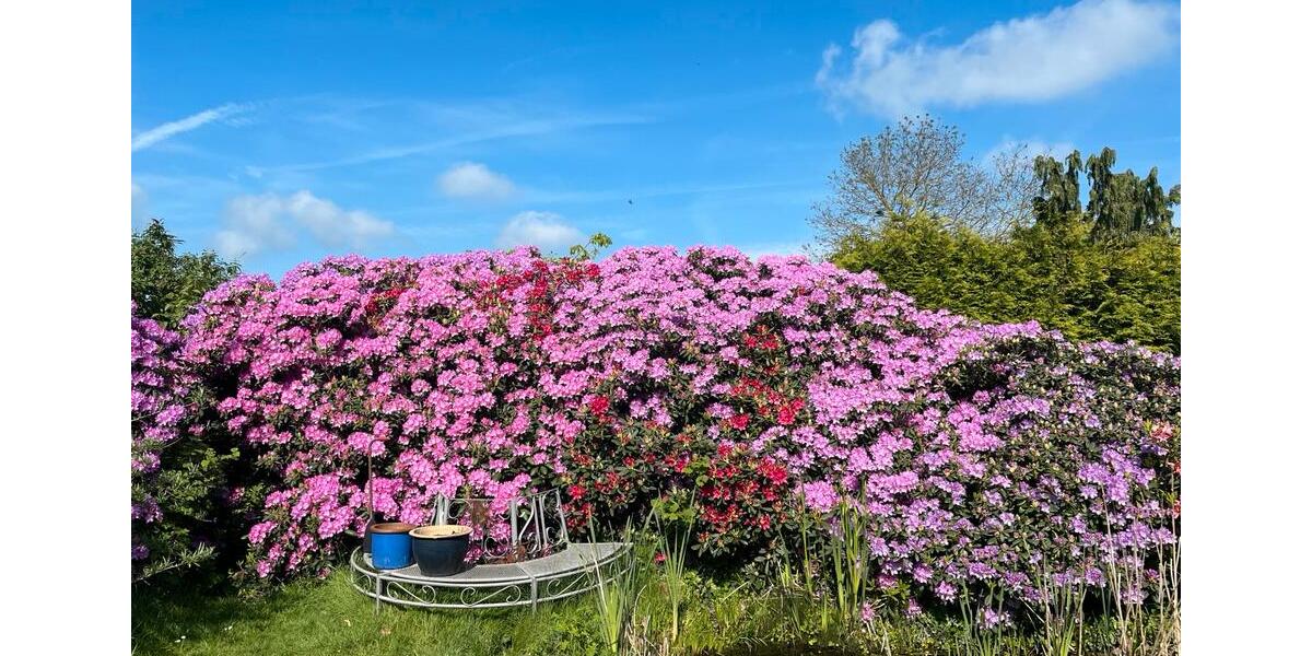 Einfamilienhaus Osterholz-Scharmbeck Scharmbeck - 435.000&euro; | Angebot:26198907