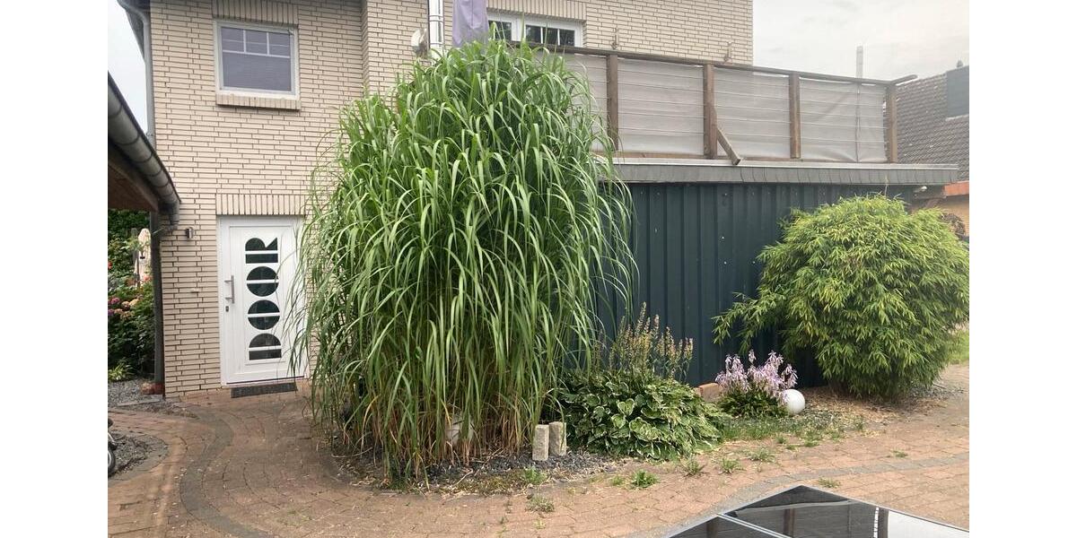 Dachgeschoßwohnung Worpswede - 4 Zimmer, 138 m&sup2;, 1.420&euro; | Angebot:26511922
