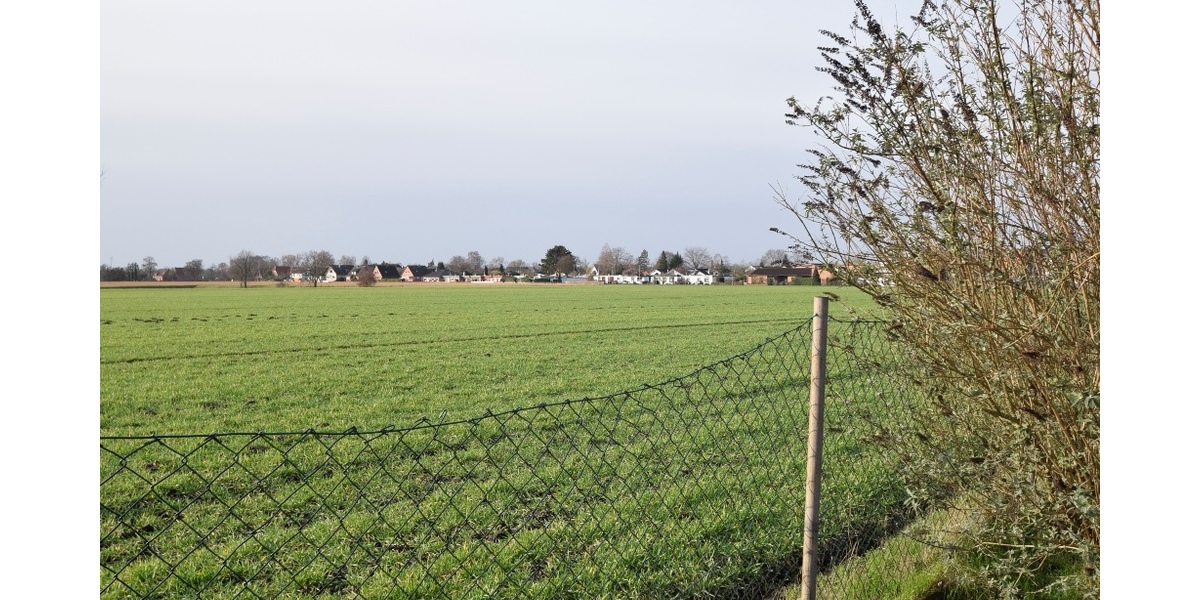 EFH in ruhiger Wohnstr. mit unverbaubarem Blick aufs Feld! + EBK + Carport + Garten - Einfamilienhaus Weyhe Leeste | Angebot:24213159