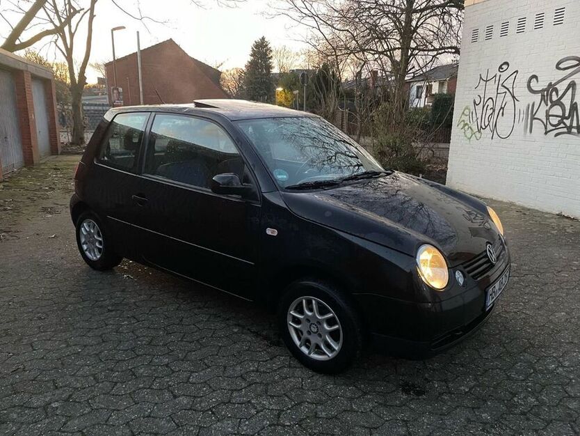 Lupo