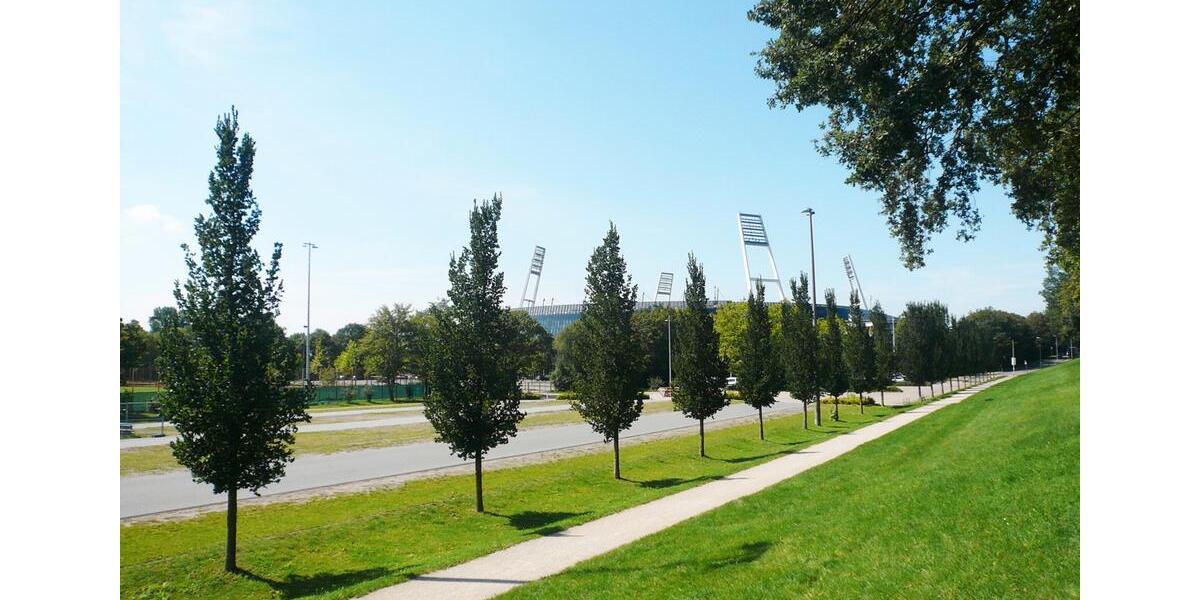 Exklusive möblierte Penthousewohnung am Osterdeich 2 zimmer