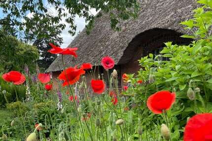 Haus zum Kaufen in Schwanewede 620.000 € 300 m² 10 zimmer
