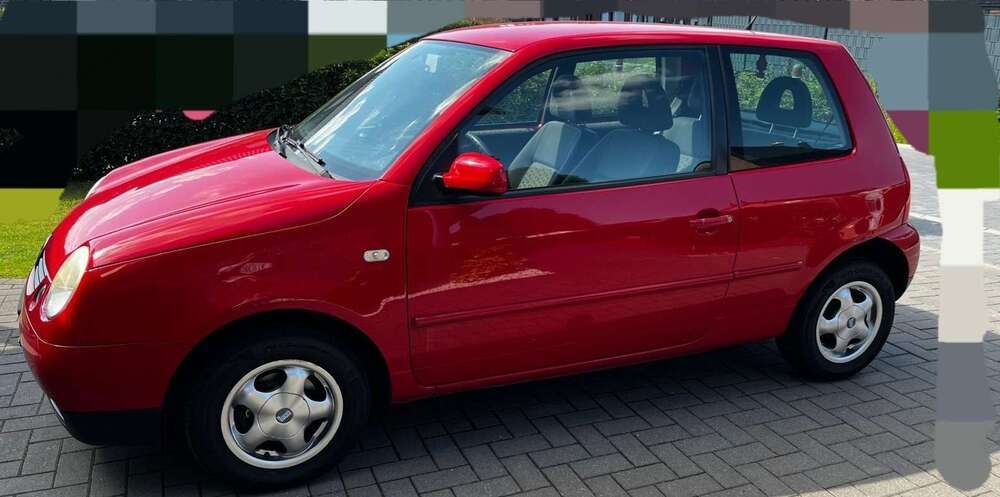 Lupo