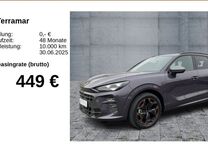 Gebrauchtwagen Cupra Terramar