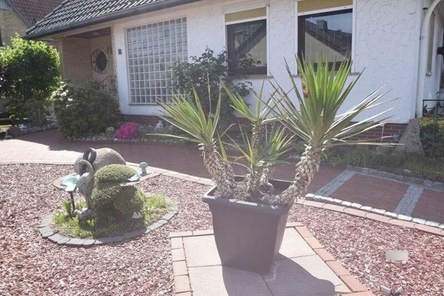 Modernes Einfamilienhaus mit Wellnessgarten Pool Whirlpool - Einfamilienhaus Syke | Angebot:27093119