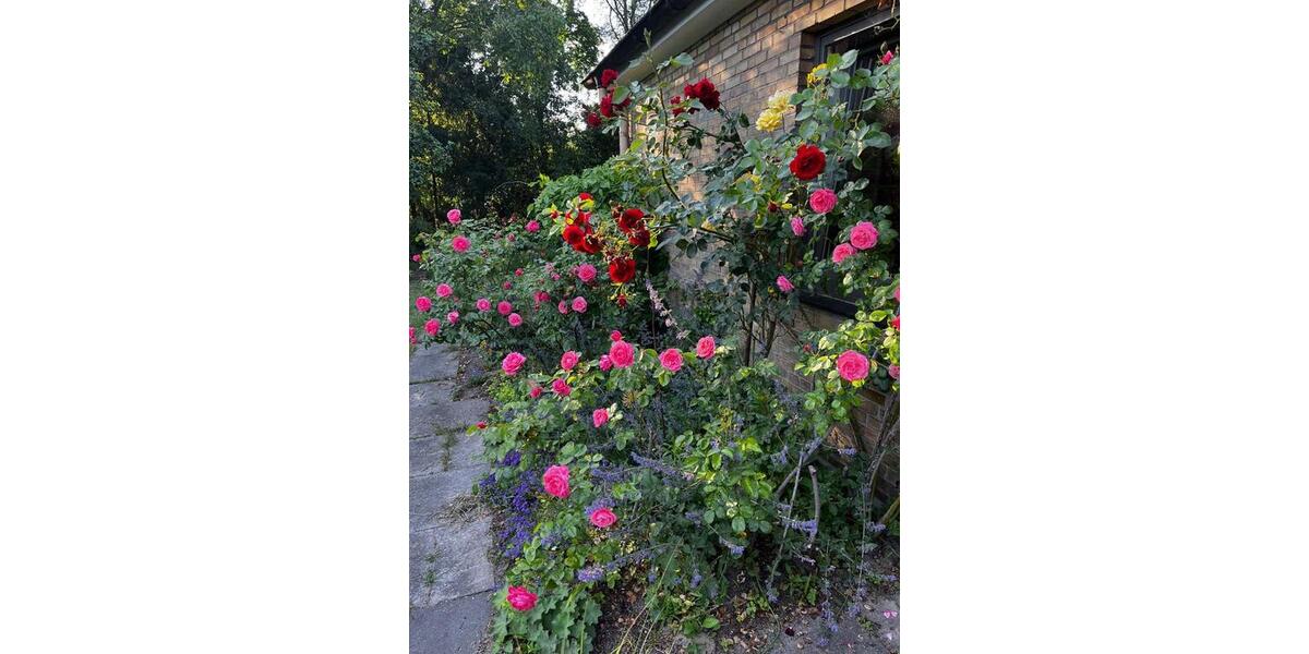 Bungalow Bremen Blockland - 8 Zimmer, 180 m&sup2;, 750.000&euro; | Angebot:26613745