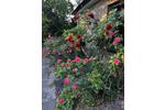 Bungalow Bremen Blockland - 8 Zimmer, 180 m&sup2;, 750.000&euro; | Angebot:26613745