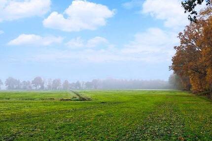 Grünland im Nordenholzermoor! zimmer