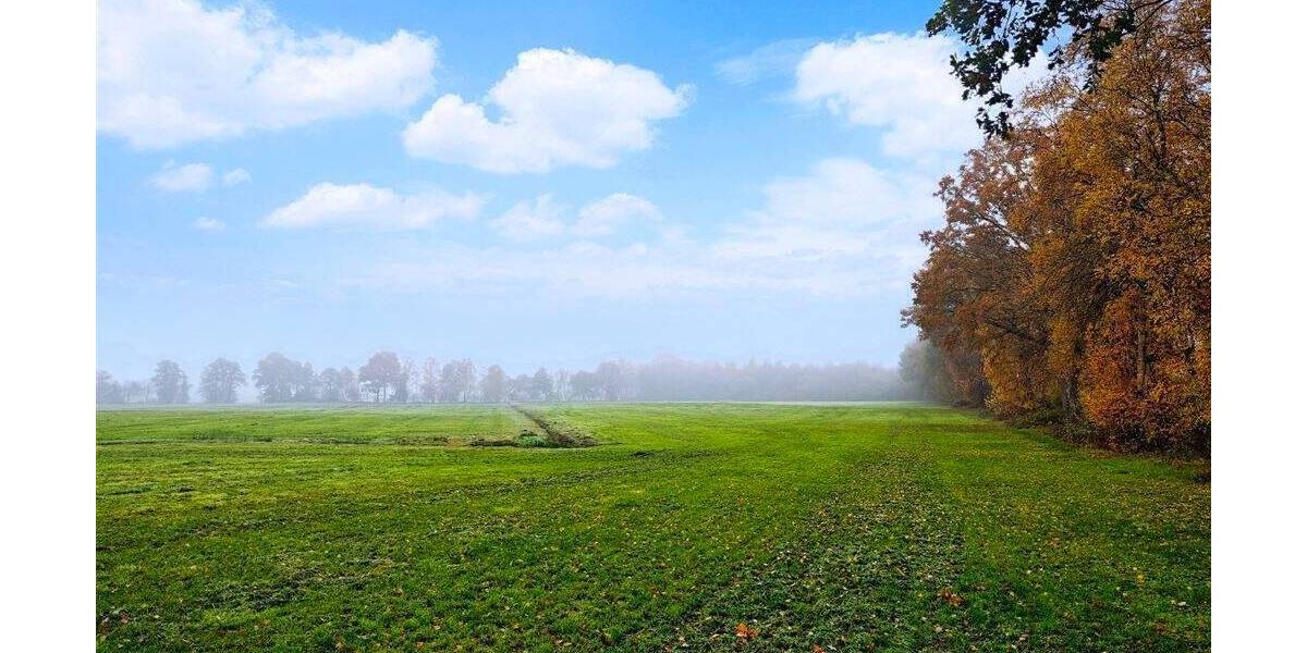 Grünland im Nordenholzermoor! zimmer