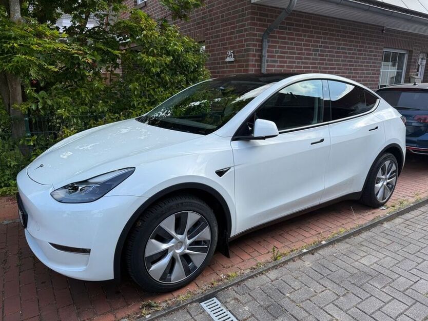 Model Y
