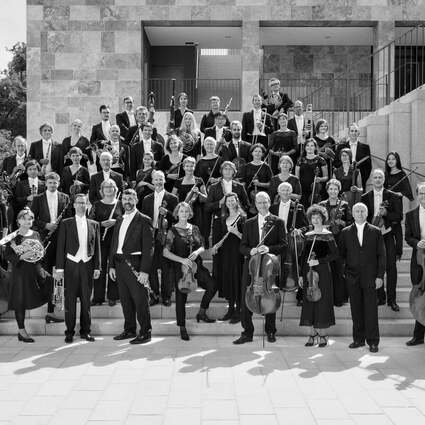 Festivalpaket: 1 Person (Fr. + Tee + Sa.) - Sommer in Lesmona 2023 Knoops Park