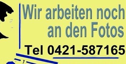 VW Polo 10.900 km 18.600 &euro; Bremen 28259