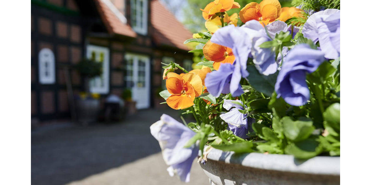 Bauernhaus, Landhaus Thedinghausen Wulmstorf - 7 Zimmer, 325 m&sup2;, 750.000&euro; | Angebot:26454584