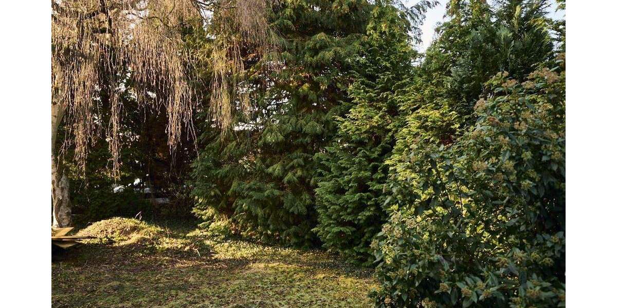 Bungalow Schwanewede - 6 Zimmer, 151 m&sup2;, 289.000&euro; | Angebot:25748793