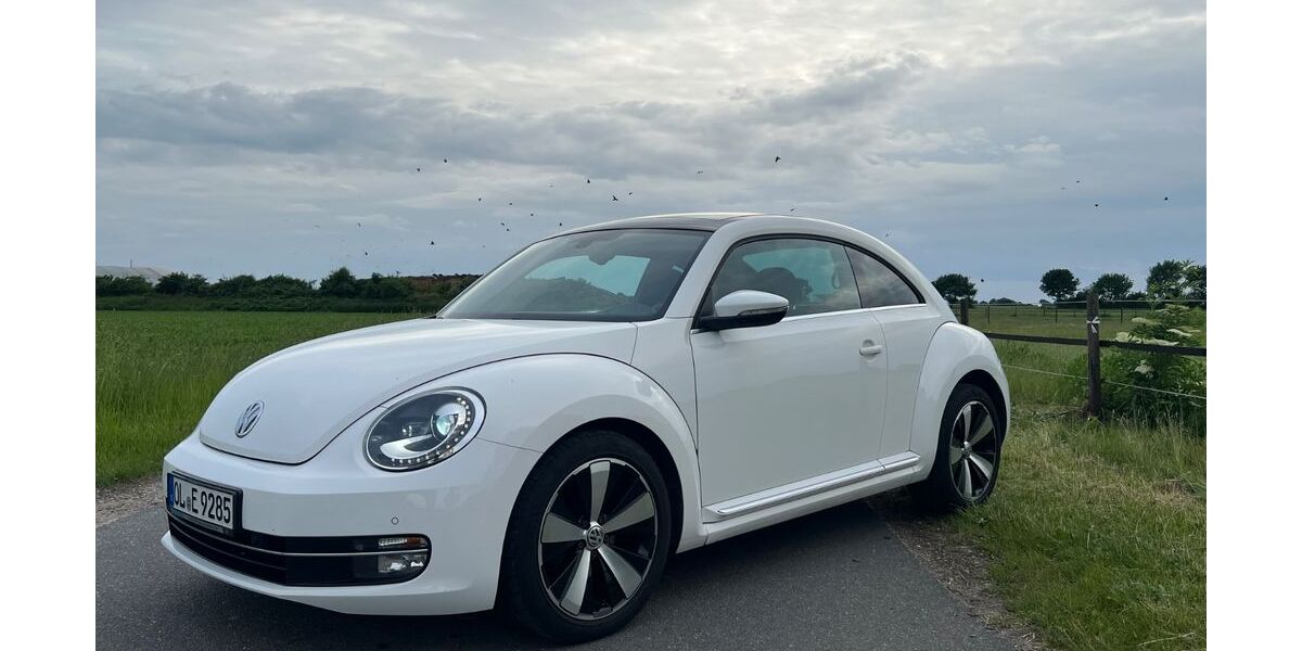 VW Beetle 125.600 km 7.799 &euro; Ganderkesee 27777