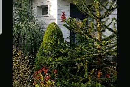 Haus Reihenhaus verkauf ohne Makler von Privat zimmer