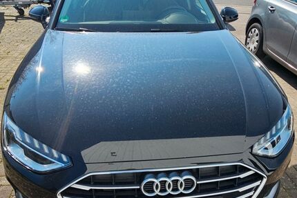 Audi A4 73.000 km 25.000 &euro; OSTERHOLZ-SCHARMBECK 27711