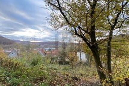 IHR RÜCKZUGSORT: 960 M² INMITTEN DER NATUR - Grundstück Hannoversch Münden | Angebot:26766065