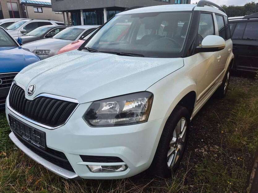 Yeti