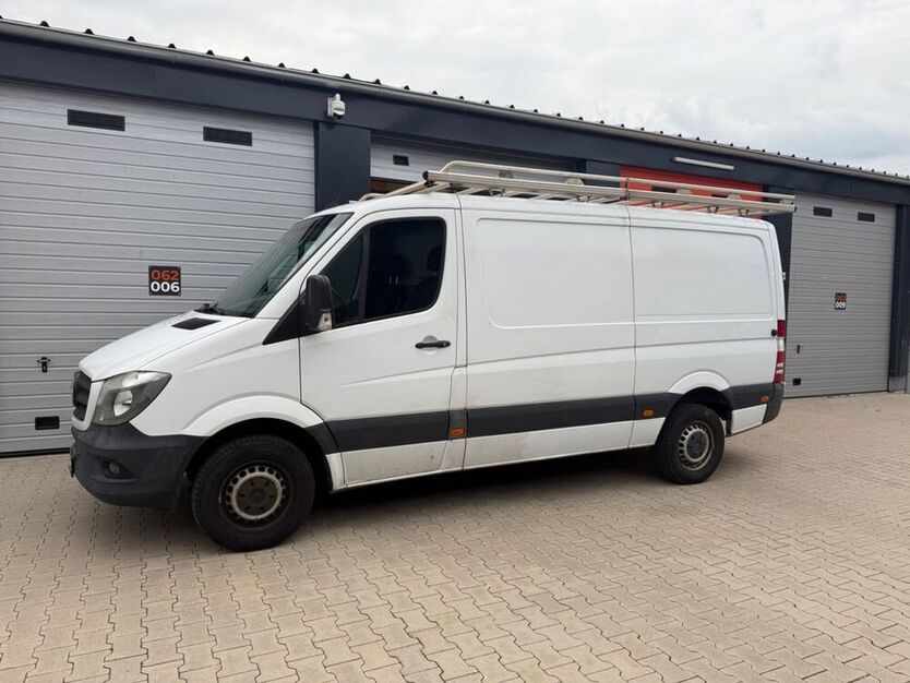Sprinter