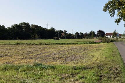 Landwirtschaftliche Fläche zu verkaufen Verpachtung als Weide möglich Grundstück komplett eingezäunt zimmer