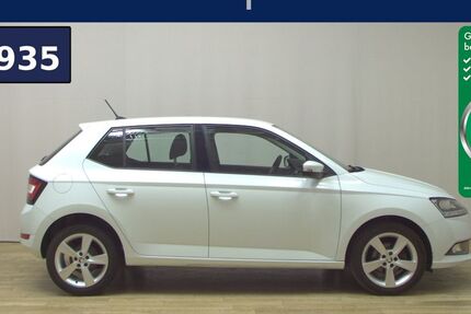 Skoda Fabia 95.259 km 6.980 € Bremen / Arsten 28279