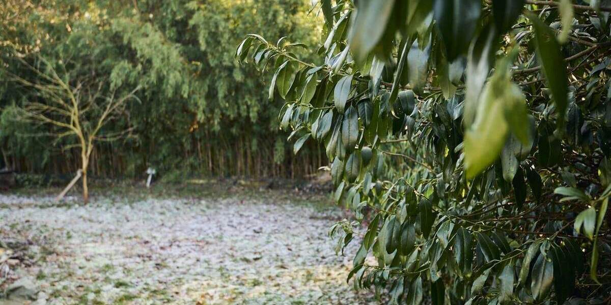 Bungalow Schwanewede - 6 Zimmer, 151 m&sup2;, 289.000&euro; | Angebot:25748793