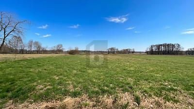 SONNIGES WEIDEPARADIES FÜR TIERHALTUNG - Grundstück Wilstedt | Angebot:26674290