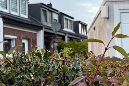 Reihenhaus in wunderschöner Lage frisch renoviert nette Nachbarn 5 zimmer