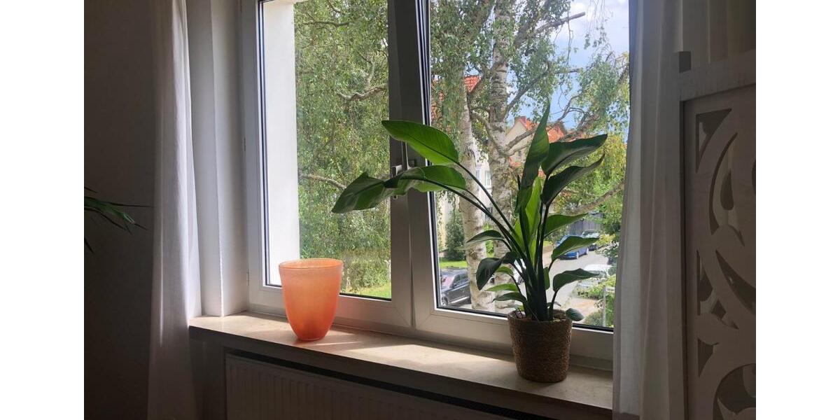 Etagenwohnung Bremen Östliche Vorstadt - 1 Zimmer, 19 m&sup2;, 565&euro; | Angebot:24781758