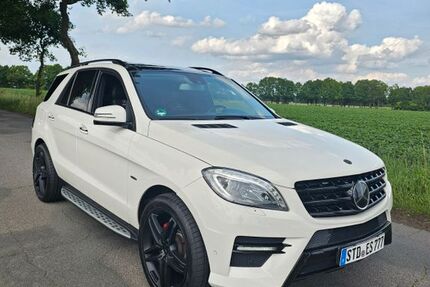 Mercedes-Benz ML 350 267.000 km 19.500 &euro; Riede 27339