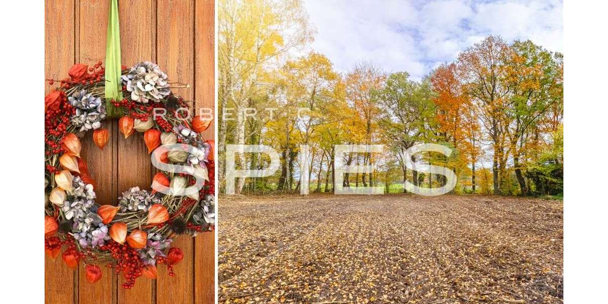 Grundstück Osterholz-Scharmbeck Scharmbeck - 249.000&euro; | Angebot:23625805