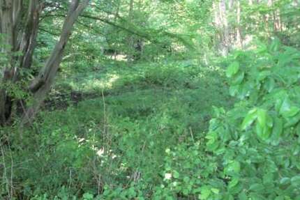 Grundstück Osterholz-Schrambeck Schrambeck - 7.000&euro; | Angebot:15642593