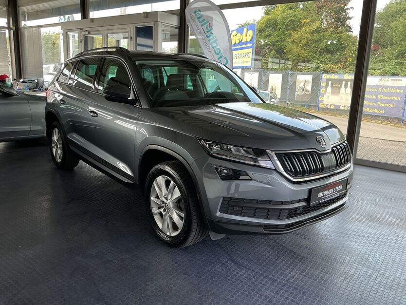 Skoda Kodiaq 250.000 km 19.300 € Bremen 28201