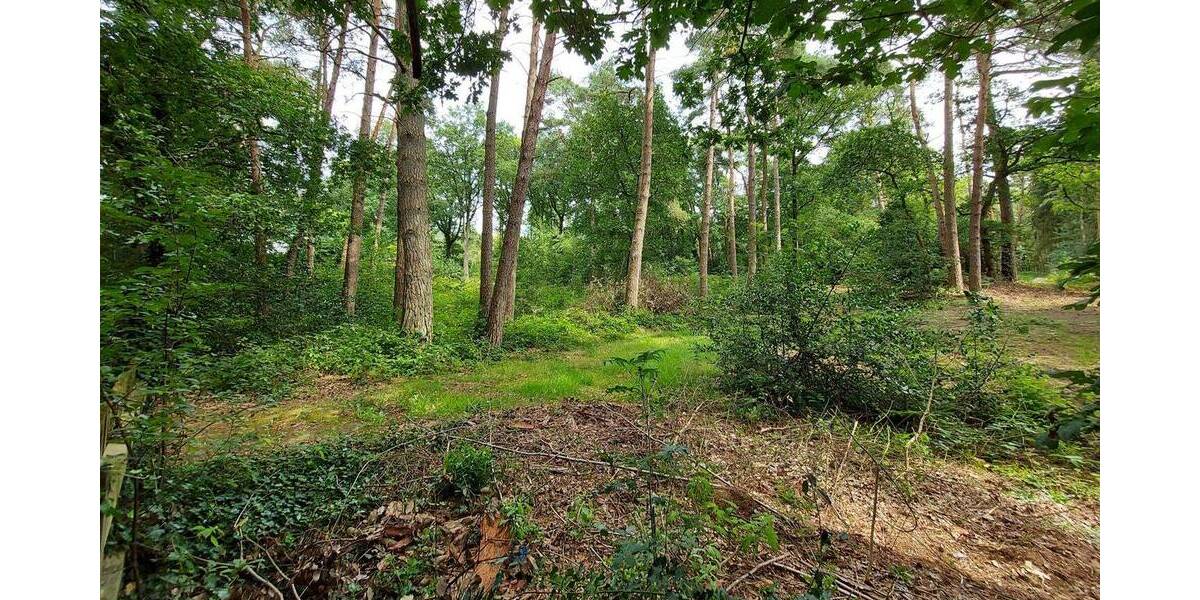 Grundstück Worpswede / Neu Sankt Jürgen Neu Sankt Jürgen - 165.000&euro; | Angebot:22598456