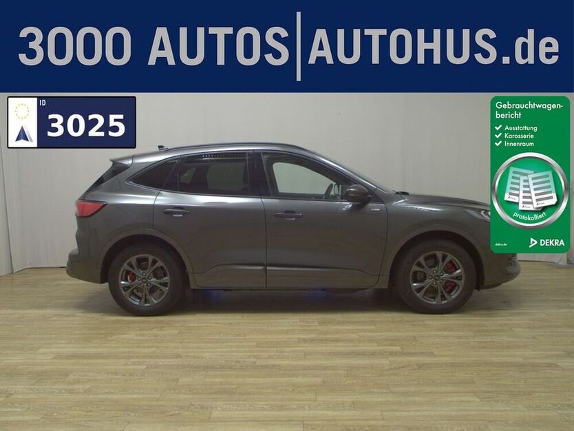 Kuga