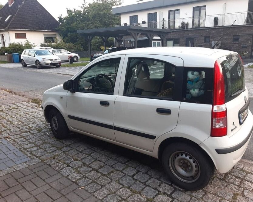 Panda